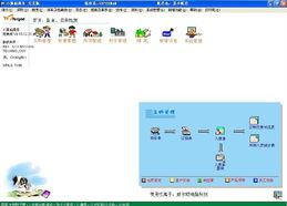 伶俐小狐仙 批發(fā)貿(mào)易行業(yè)進(jìn)銷存軟件市場的明星