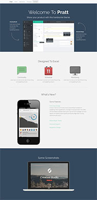 軟件銷(xiāo)售模板